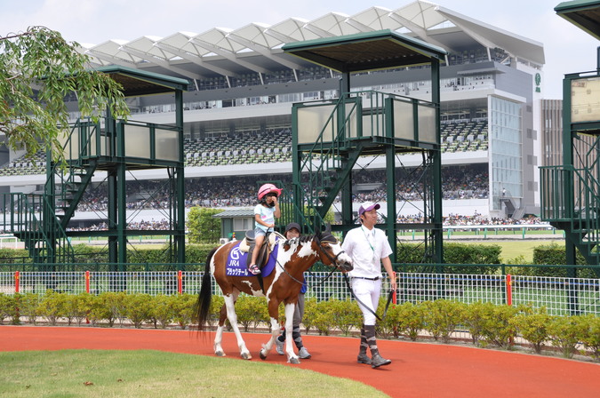 中京競馬場