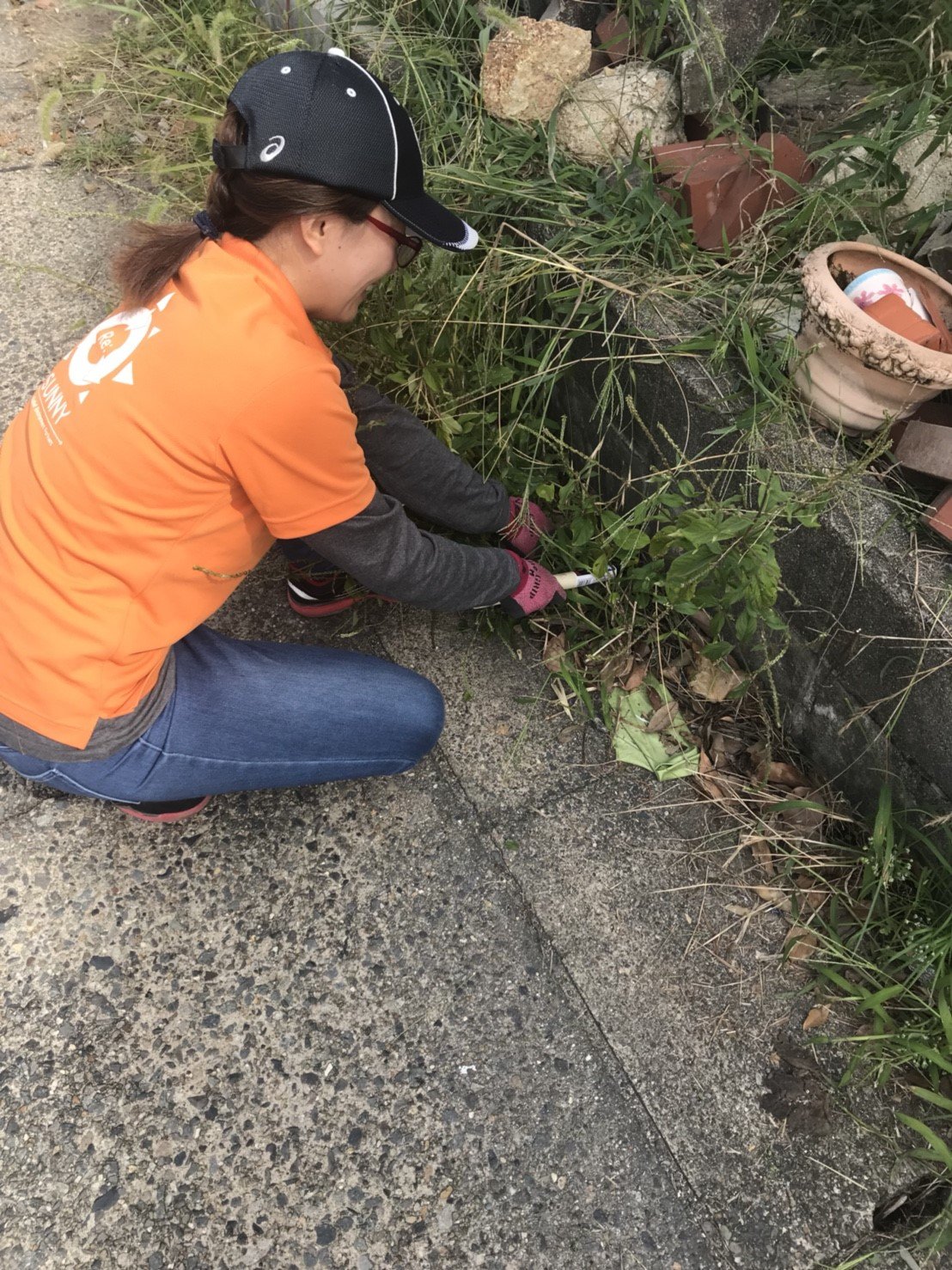 ブログ用素材写真色々 171014 0011