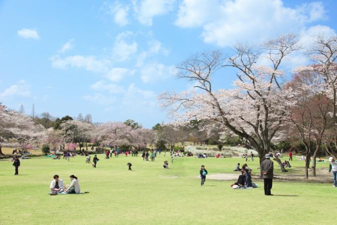 森林公園